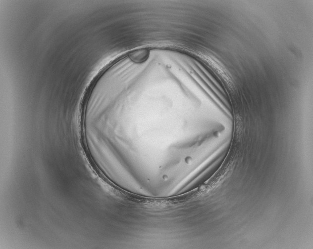 X0000115731046200912031402