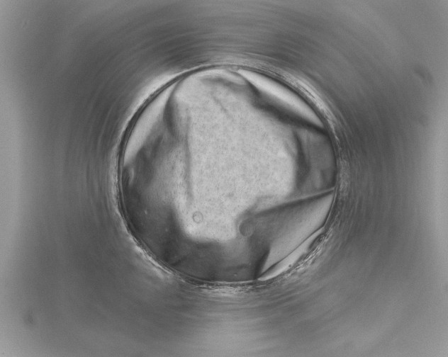 X0000115731048200912031402