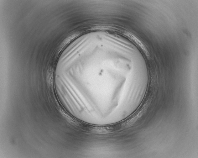 X0000115731049200912031402