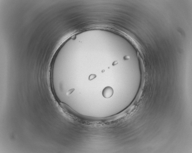 X0000115731050200912031402