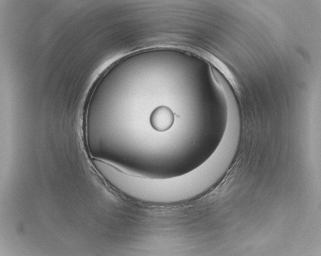 X0000115731051200912031402