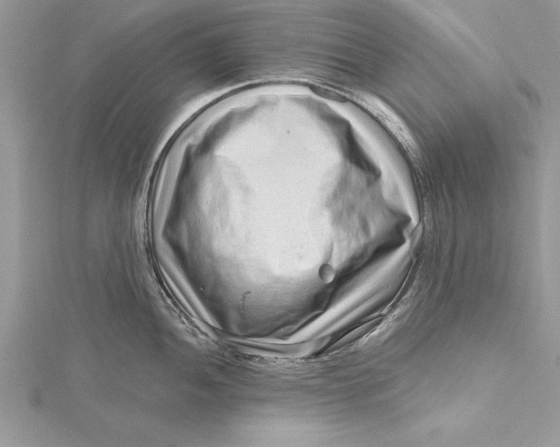 X0000115731052200912031402