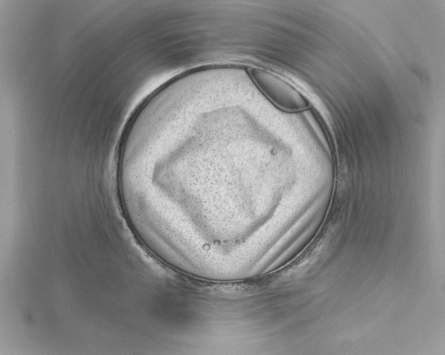 X0000115731053200912031402