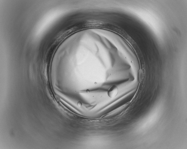 X0000115731054200912031402