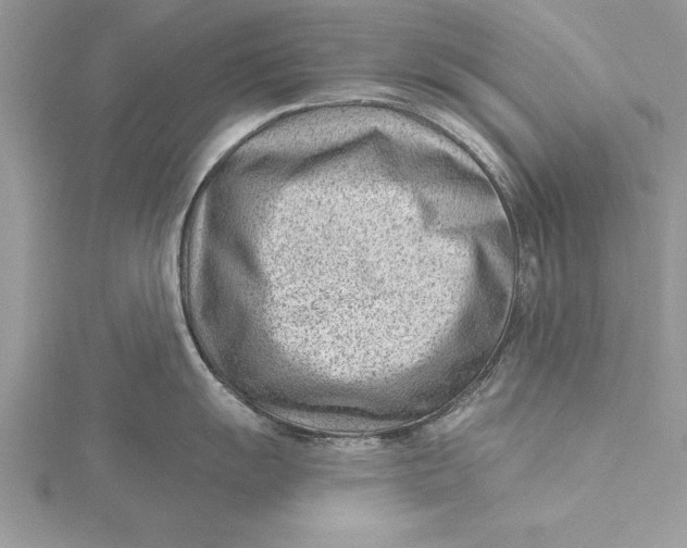 X0000115731055200912031402