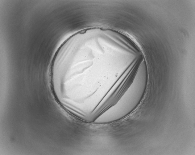 X0000115731056200912031402