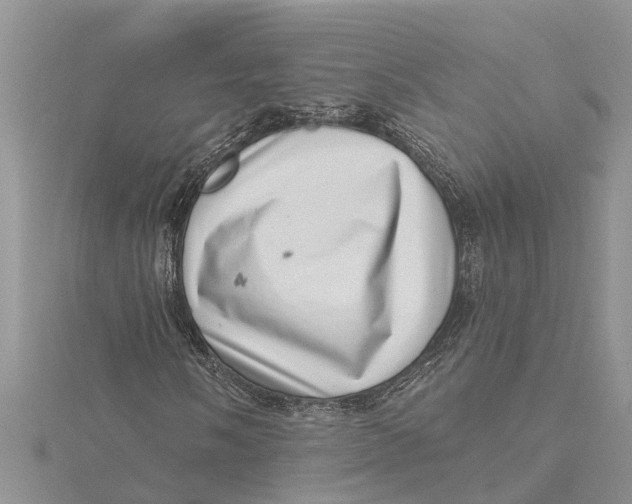 X0000115731058200912031402