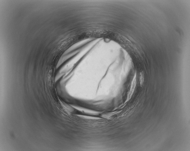 X0000115731059200912031402