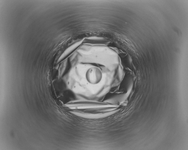 X0000115731060200912031401