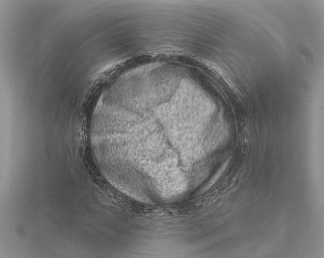 X0000115731063200912031401