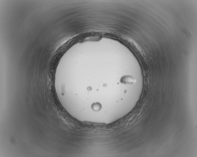 X0000115731064200912031401