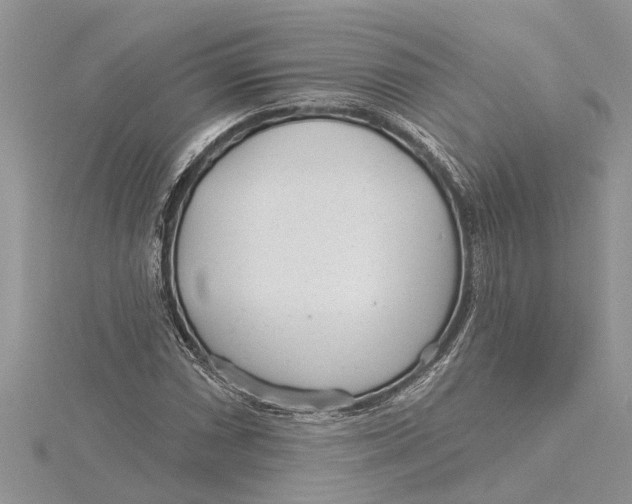 X0000115731066200912031401