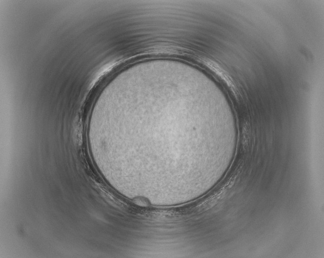 X0000115731067200912031401