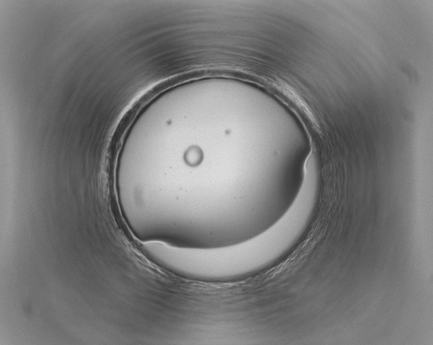 X0000115731068200912031401