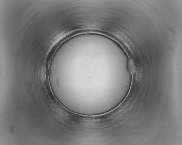 X0000115731069200912031401