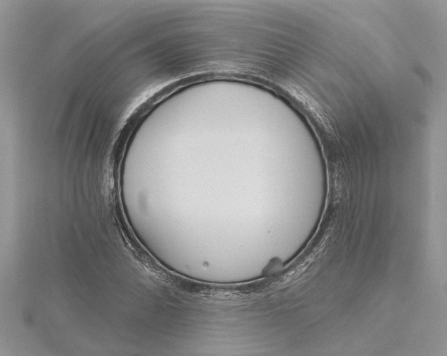 X0000115731070200912031401