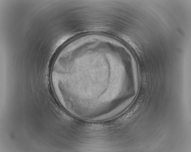 X0000115731071200912031401