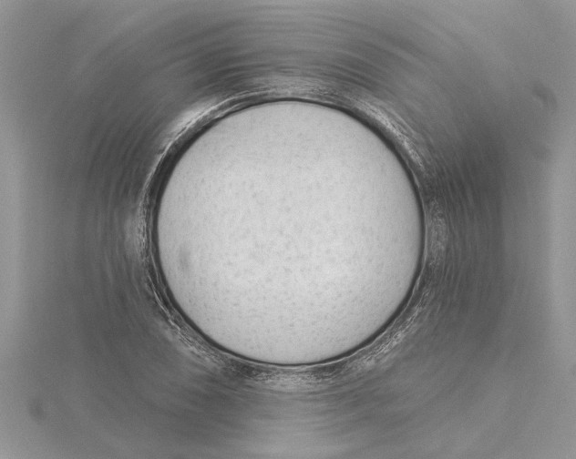 X0000115731074200912031401