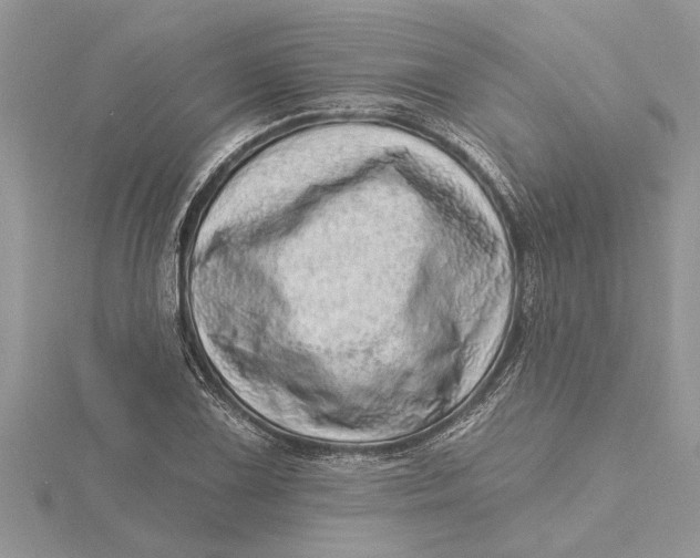 X0000115731075200912031401