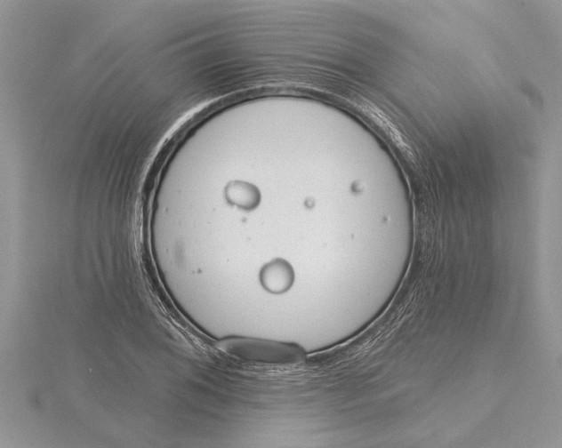 X0000115731076200912031401