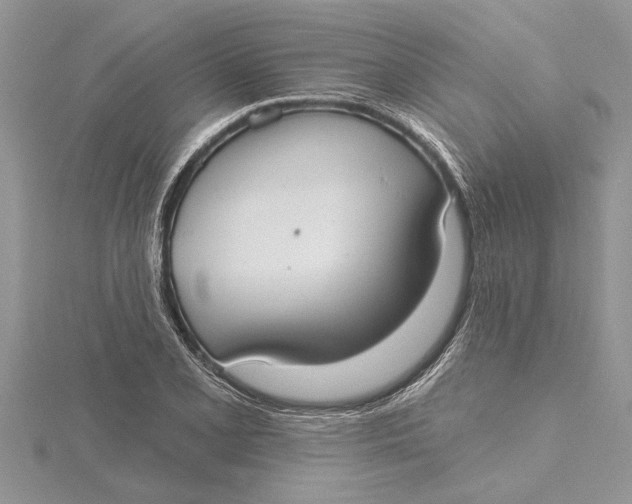 X0000115731077200912031401