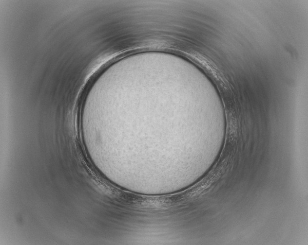 X0000115731078200912031401