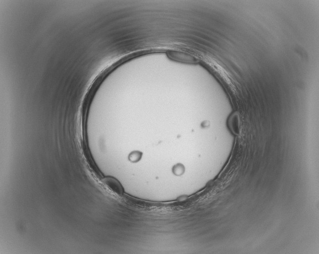 X0000115731080200912031401