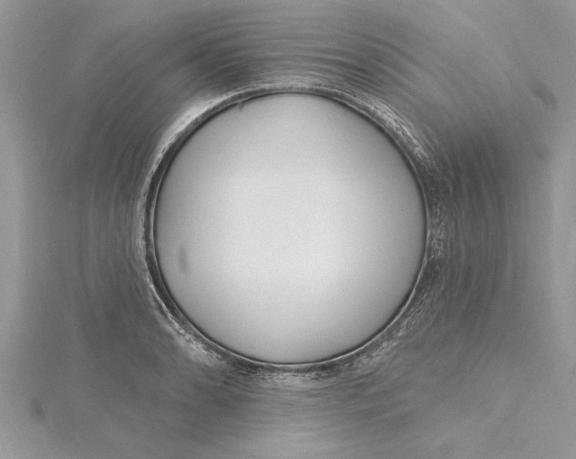 X0000115731086200912031401