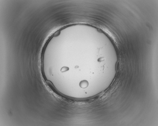 X0000115731088200912031401