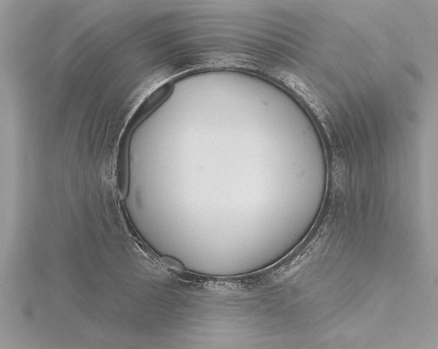 X0000115731089200912031401