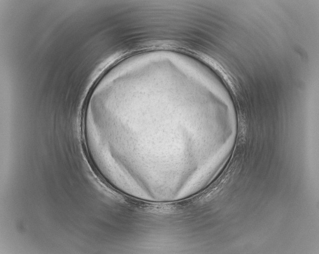 X0000115731090200912031401