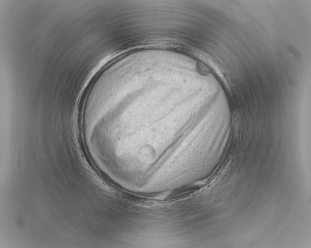 X0000115731091200912031401