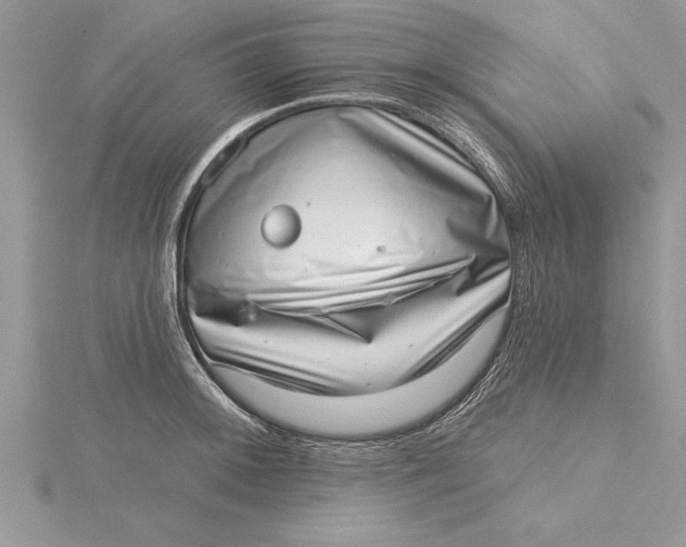 X0000115731092200912031401