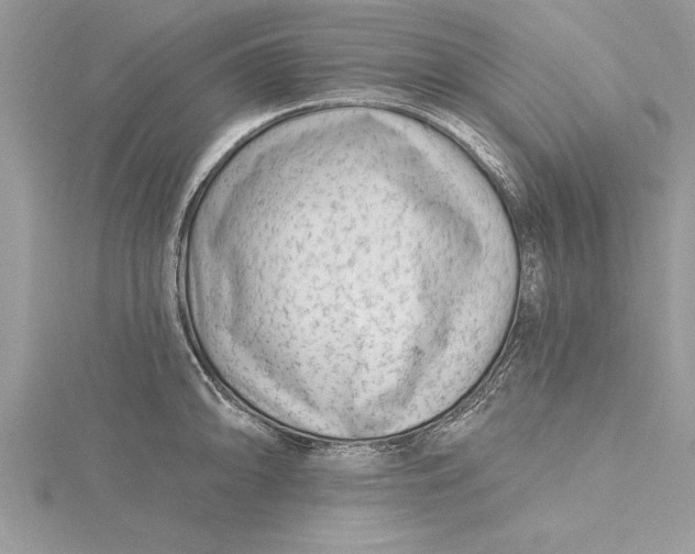 X0000115731094200912031401