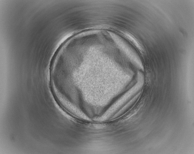 X0000115731095200912031401