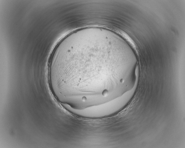 X0000115731096200912031401