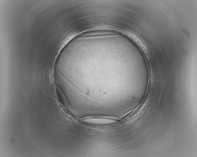 X0000115731097200912031401