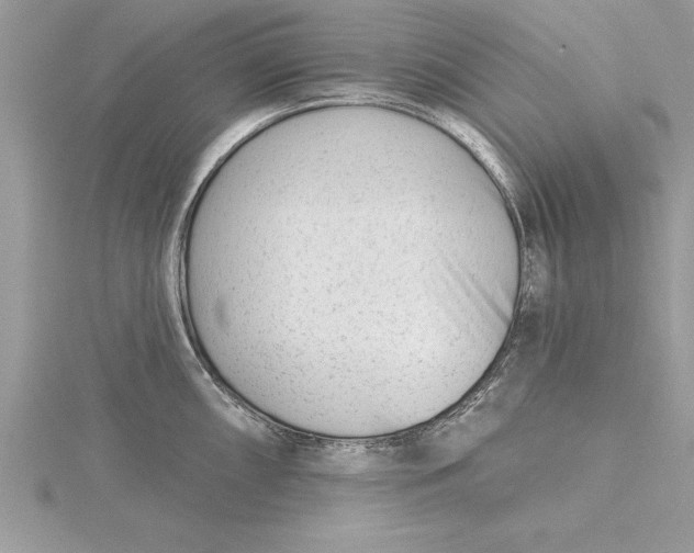 X0000115731098200912031401