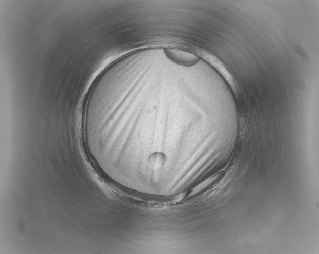 X0000115731099200912031401