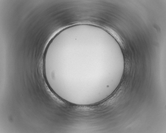 X0000115731100200912031401