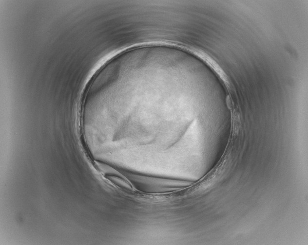 X0000115731101200912031401