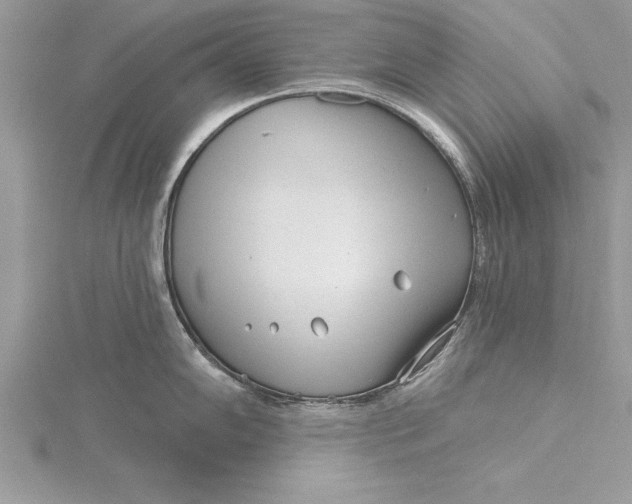 X0000115731102200912031401