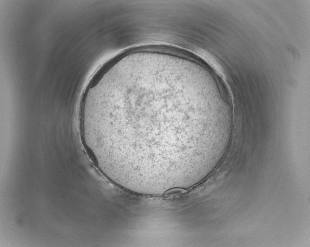 X0000115731104200912031401