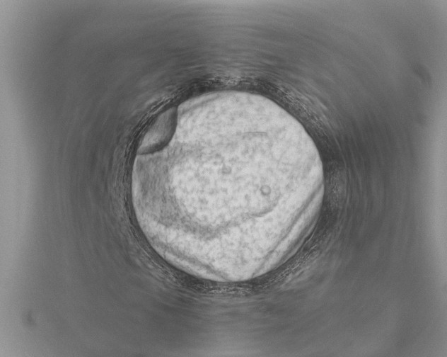 X0000115731105200912031400