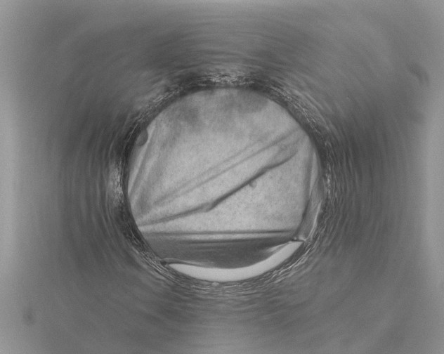 X0000115731106200912031400