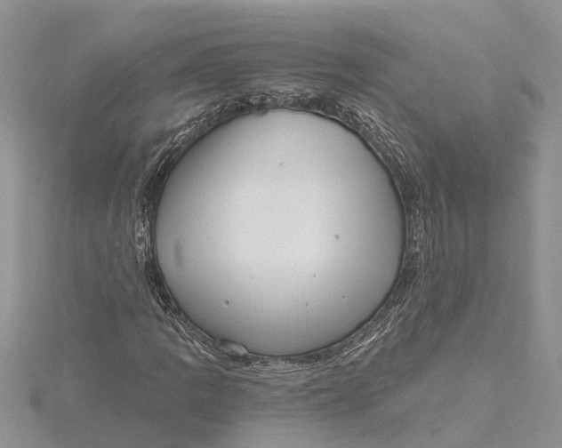 X0000115731109200912031400