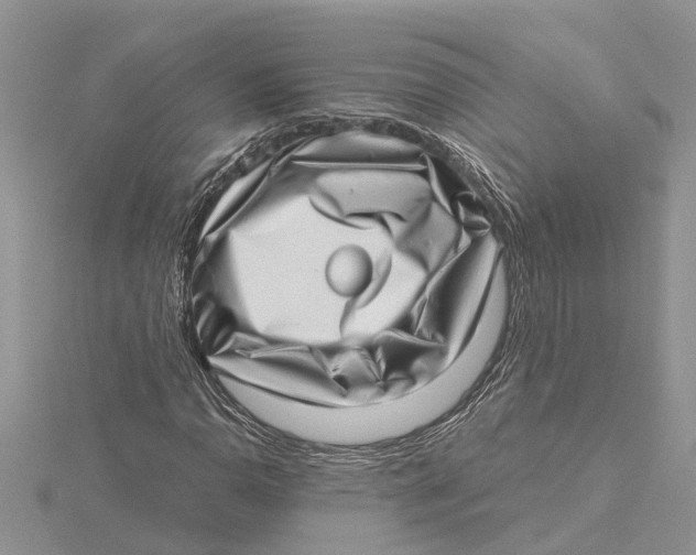 X0000115731110200912031400