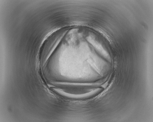 X0000115731117200912031400