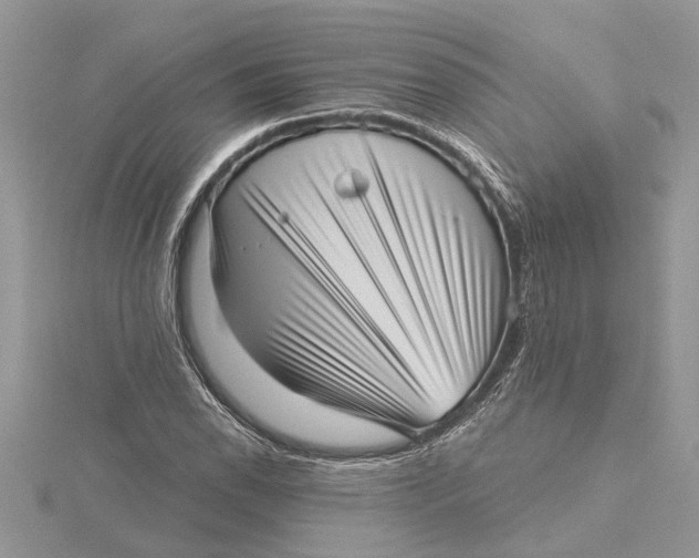 X0000115731118200912031400