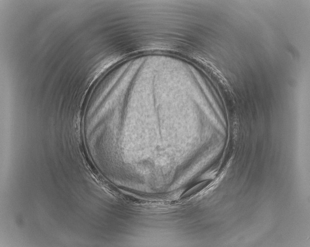 X0000115731121200912031400